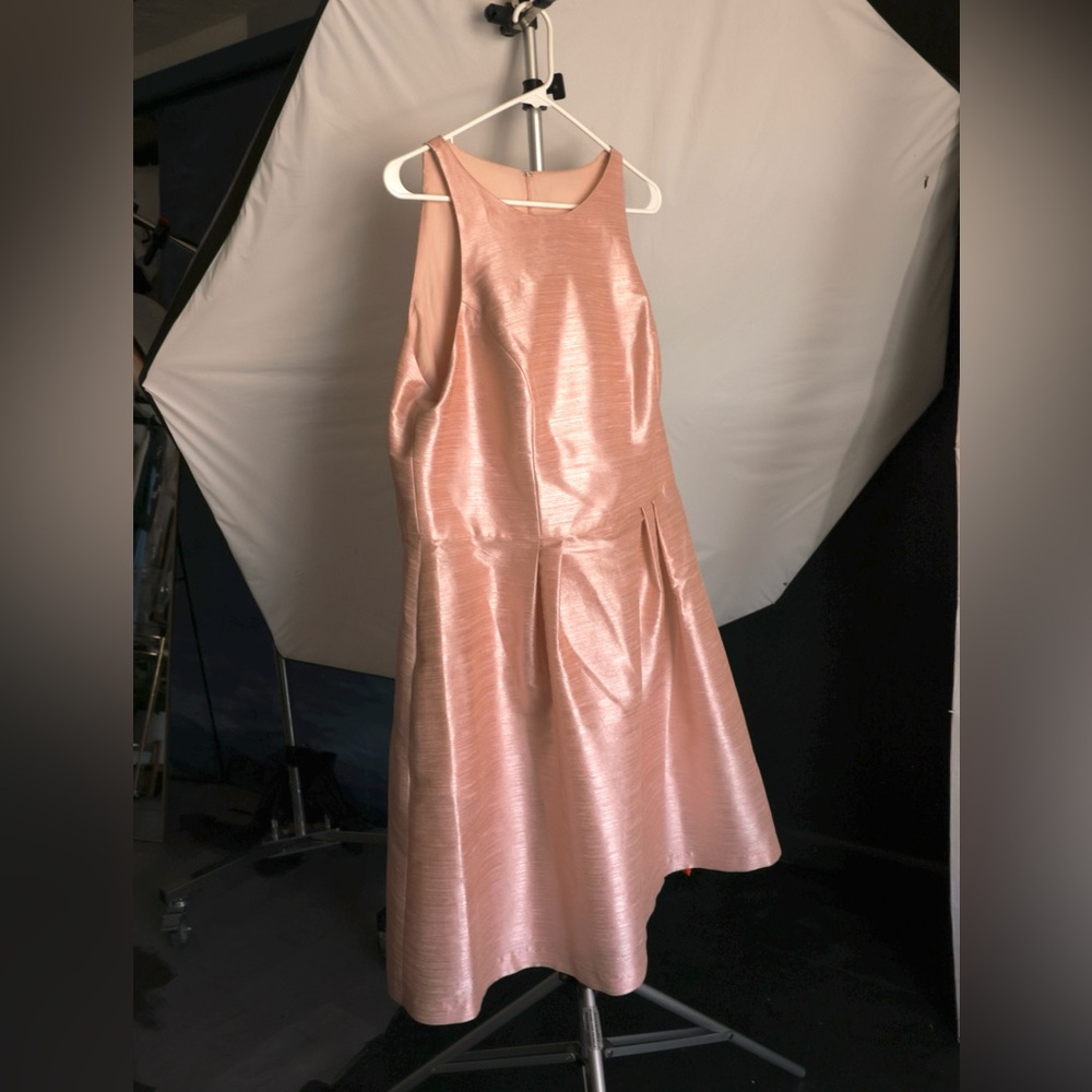 Alfred Sung Pink Sleeveless Dress - Picture 7 of 8